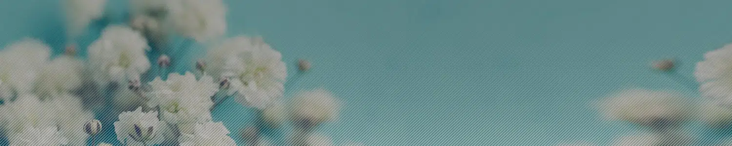 flower background header image