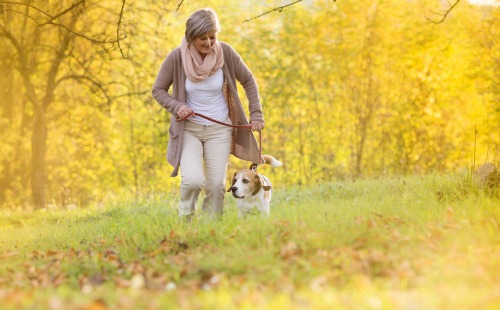 woman walking with a dog